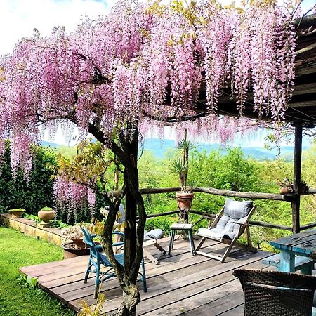 Tuscan Hills - Stonehouse, Garden & Pool Vicchio Exterior photo