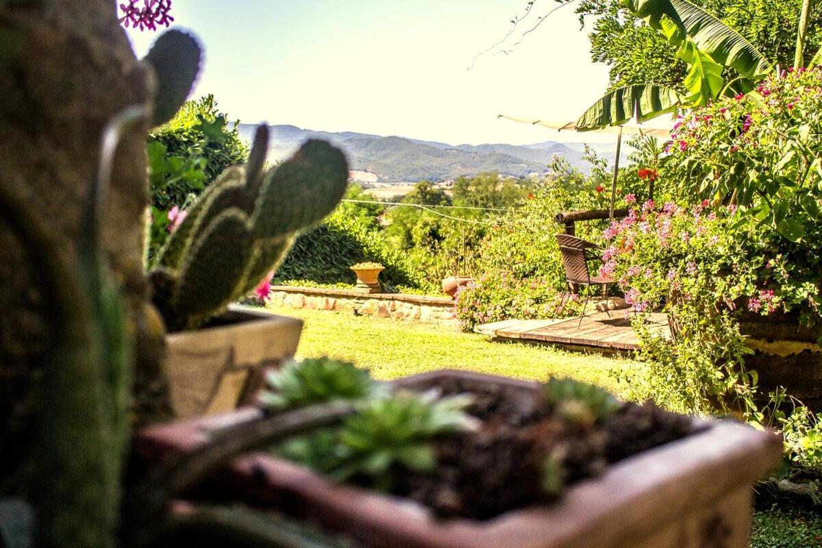 Tuscan Hills - Stonehouse, Garden & Pool Vicchio Exterior photo