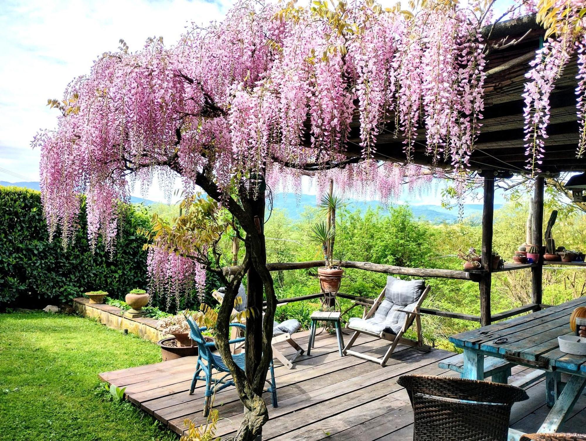 Tuscan Hills - Stonehouse, Garden & Pool Vicchio Exterior photo